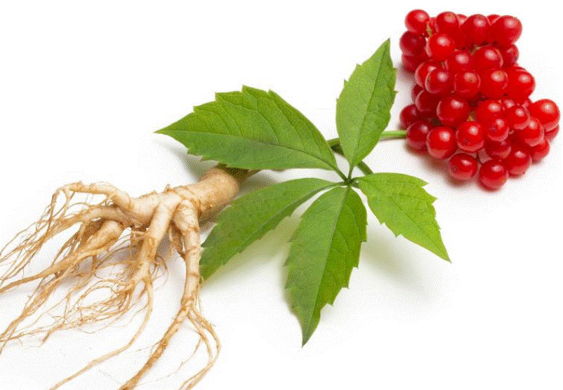 Ginseng Asiático